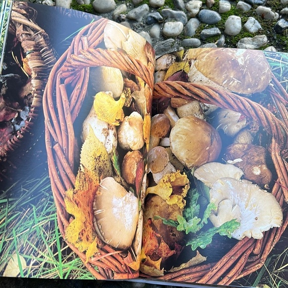 VTG 1989 "Monet's Table: The Cooking Journals of Claude Monet" Hardback Book - Picture 13 of 16